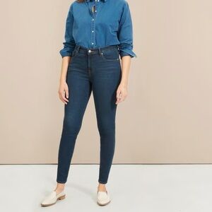 Everlane Mid Rise Skinny Dark Wash